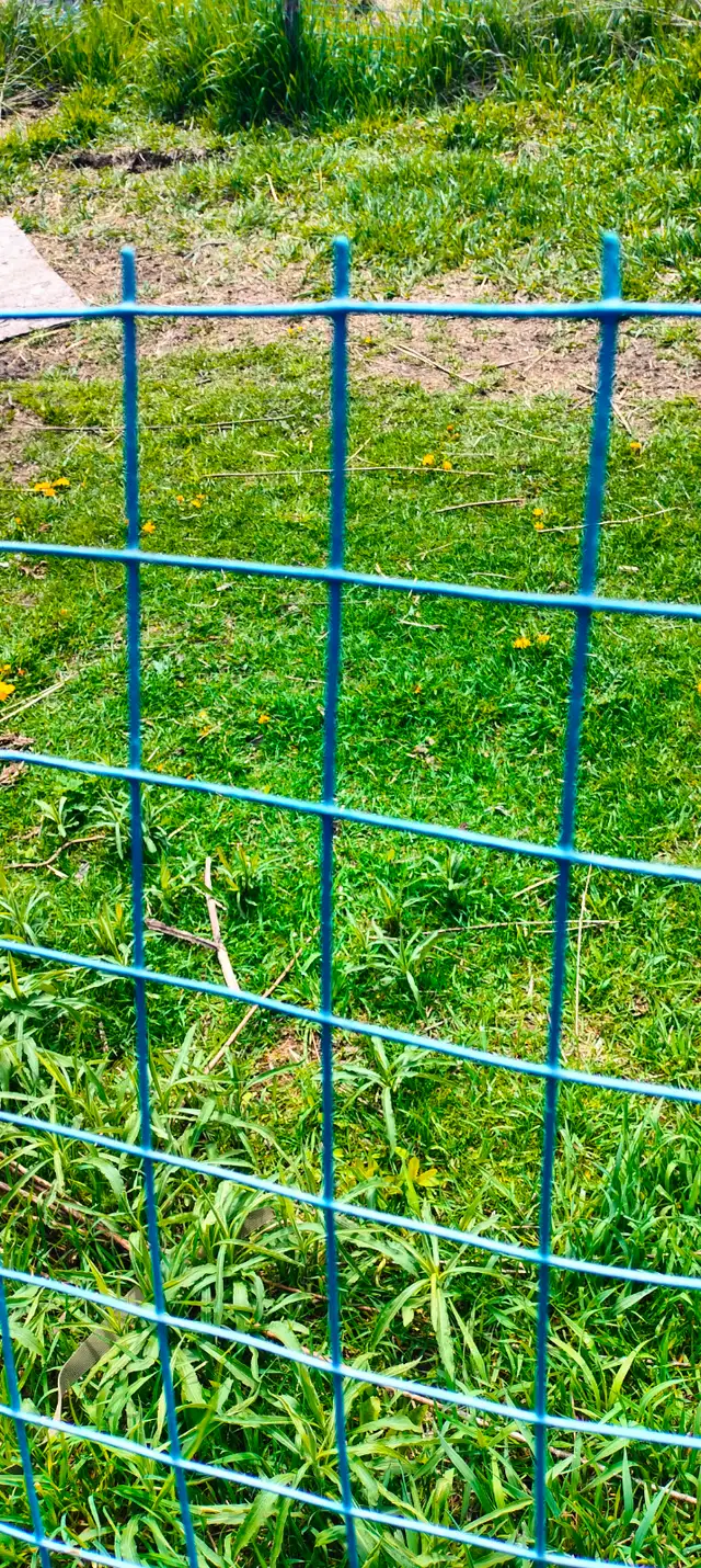 For Sale: PVC Coated Welded Wire Fencing & Metal Posts - Photo 2