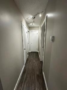 Cat Friendly 1- Bedroom Suite for Rent