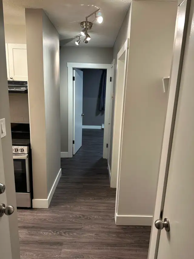 Cat Friendly 1- Bedroom Suite for Rent - Photo 2