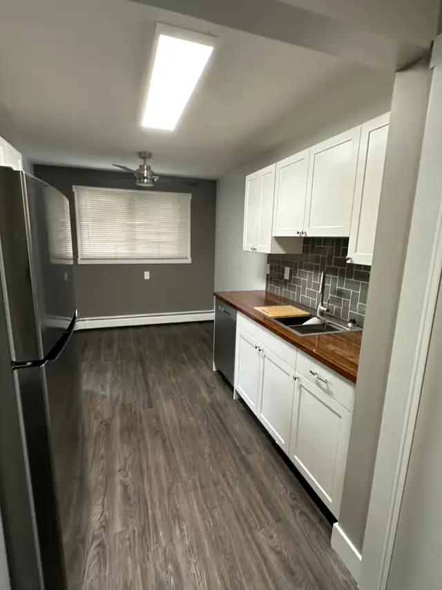 Cat Friendly 1- Bedroom Suite for Rent - Photo 3