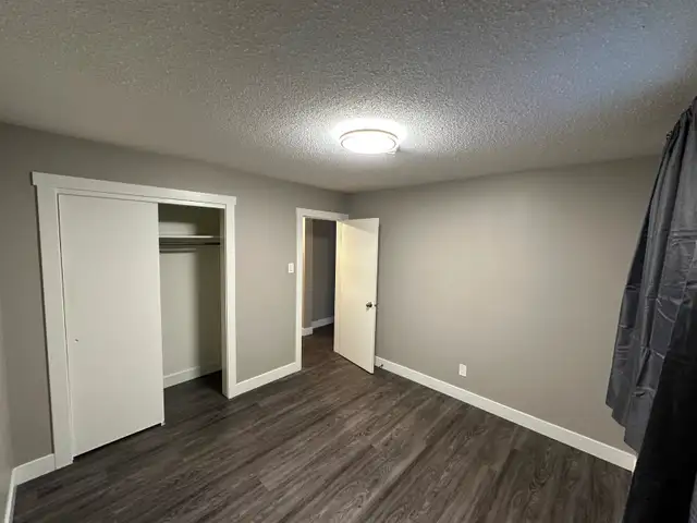 Cat Friendly 1- Bedroom Suite for Rent - Photo 4