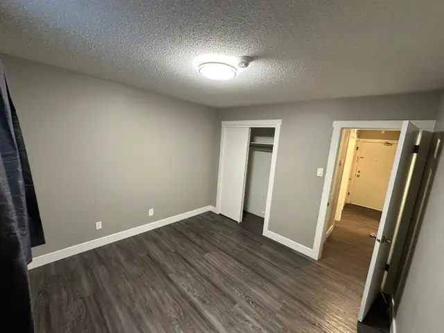 Cat Friendly 1- Bedroom Suite for Rent - Photo 5