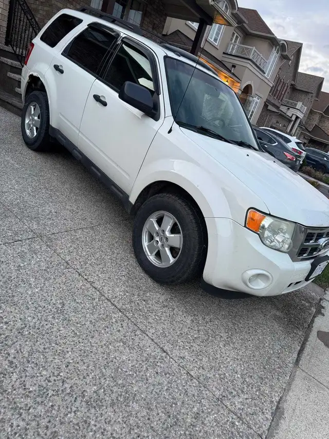 2011 FORD ESCAPE XLT LEATHER SUNROOF - Photo 2