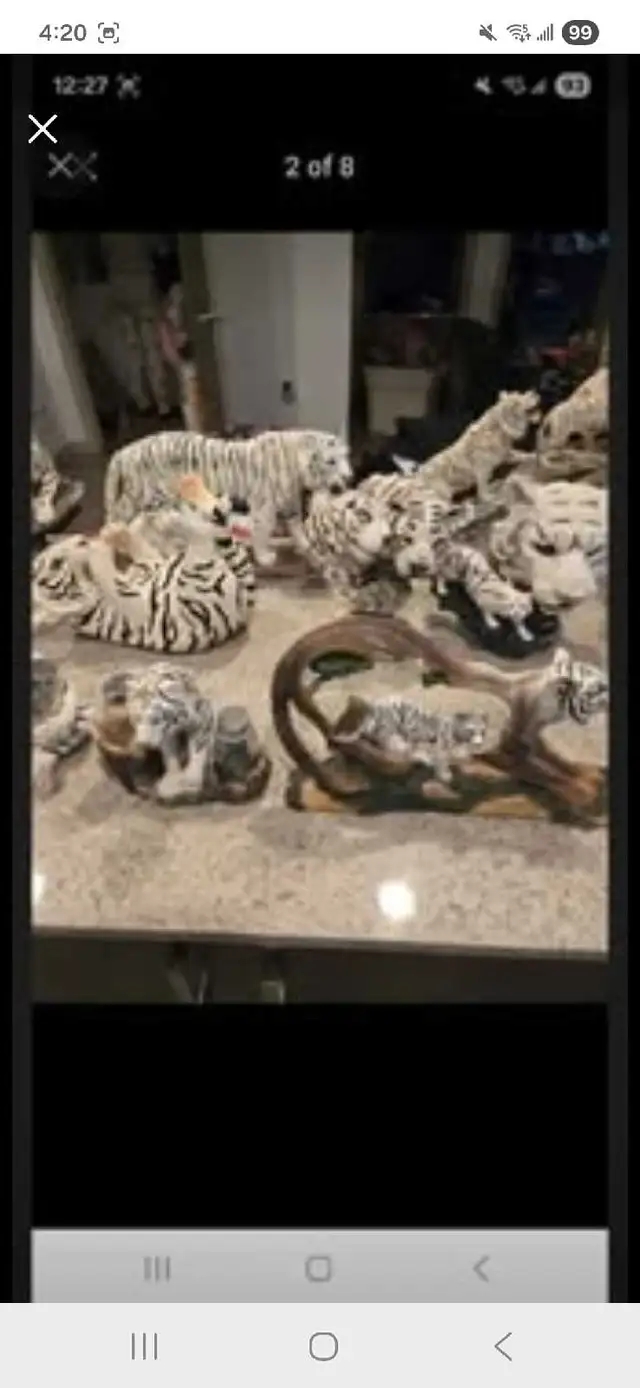 white tiger collection - Photo 2