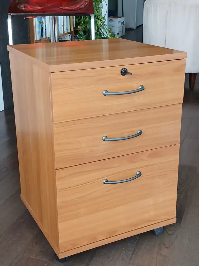 Caisson à trois tiroirs - Galerie Danoise