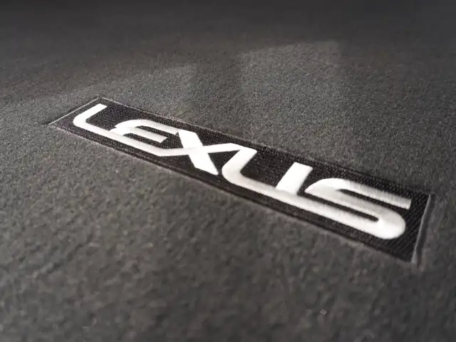 2023 Lexus RX RX 350h - Photo 19