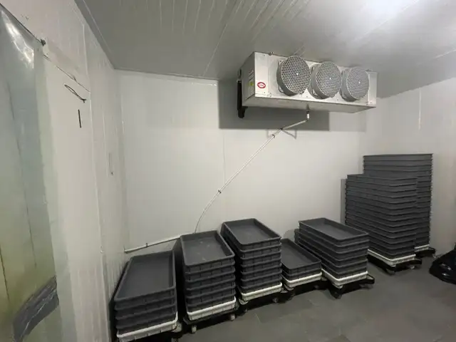 Papa John' Pizza for Sale - Photo 7