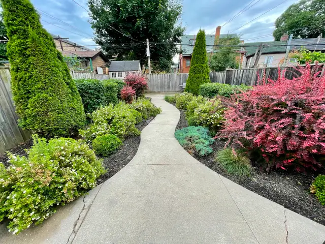 Beautiful 2 Bedroom Basement Apt. - Private Laundry - Patio - Photo 9