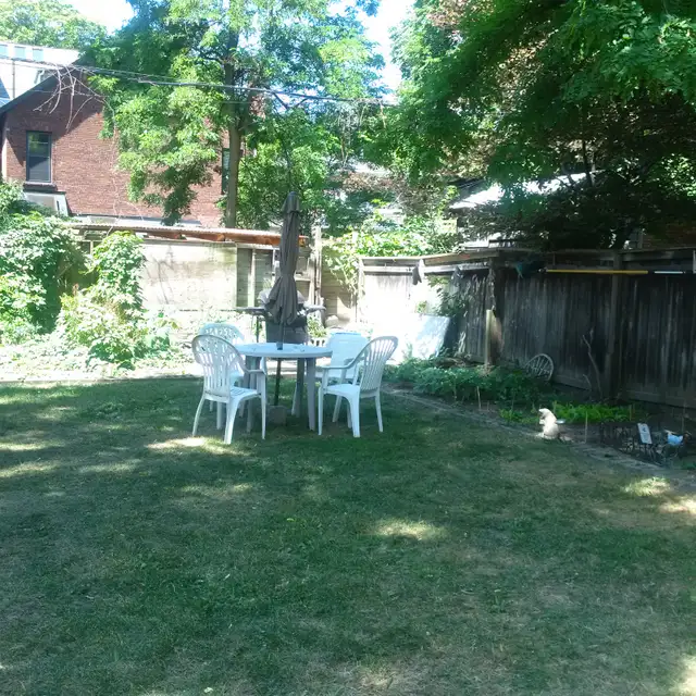 Annex Bright 3 Bedroom 3 Bathroom shared yard June 1st - Photo 2
