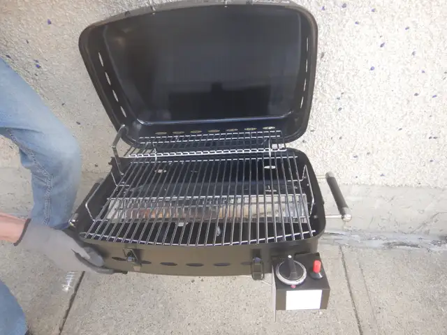 PORTABLE RV GAS GRILL - Photo 2