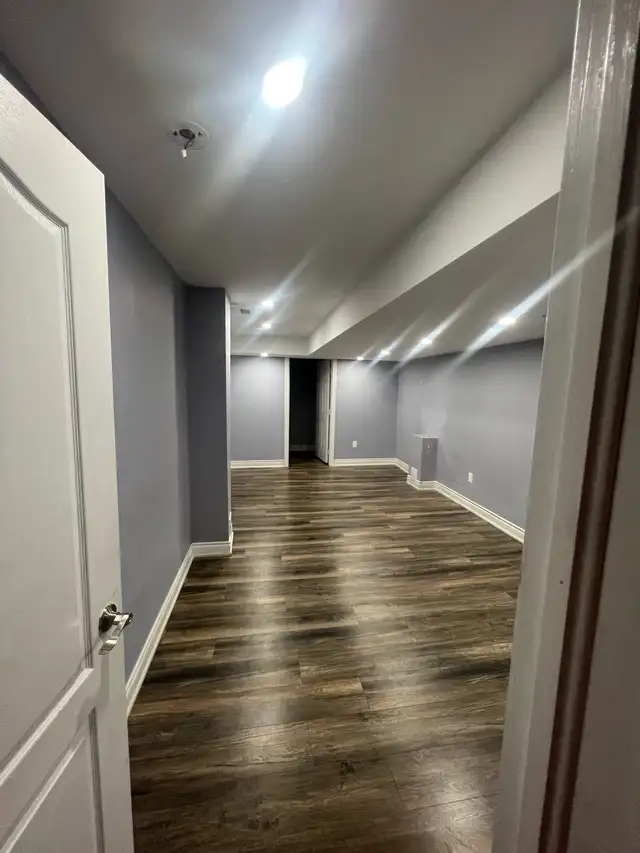 BASEMENT, WALNESS & CHING - Photo 6