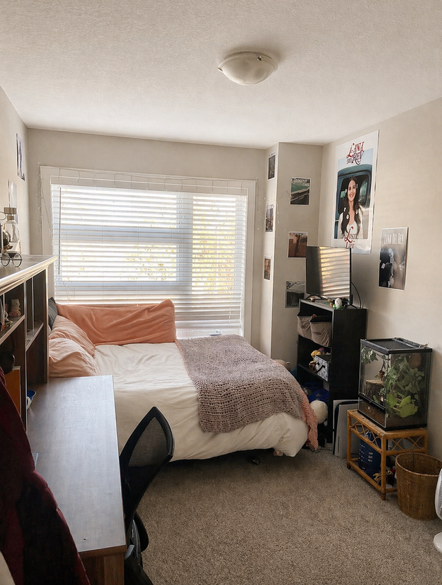Very High End Student Bedroom Available in an All Female Home! - Photo 2