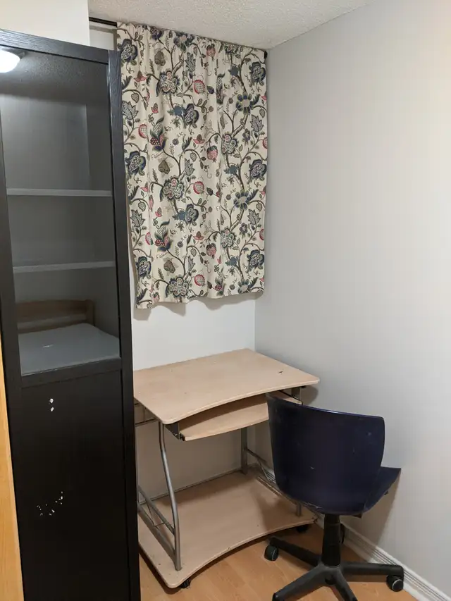 May 1st, Clean Furnished Room, Parking @York University village - Photo 3