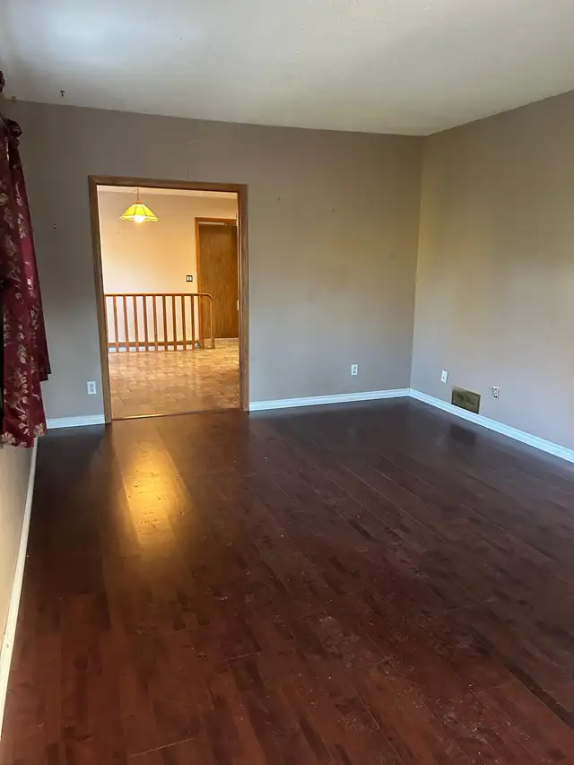 PRICE IMPROVEMENT! ✨ Prime 50’ x 150’ PROPERTY! ✨ - Photo 4