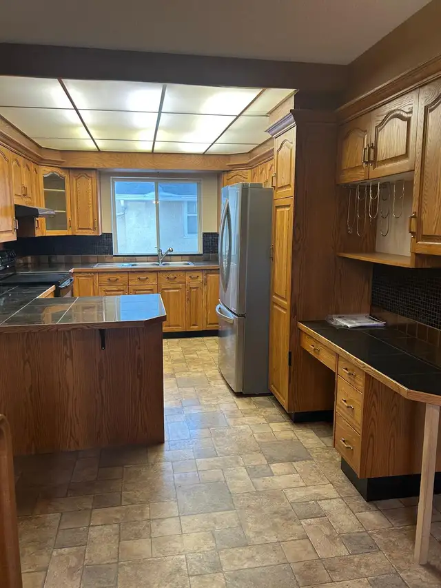 PRICE IMPROVEMENT! ✨ Prime 50’ x 150’ PROPERTY! ✨ - Photo 7