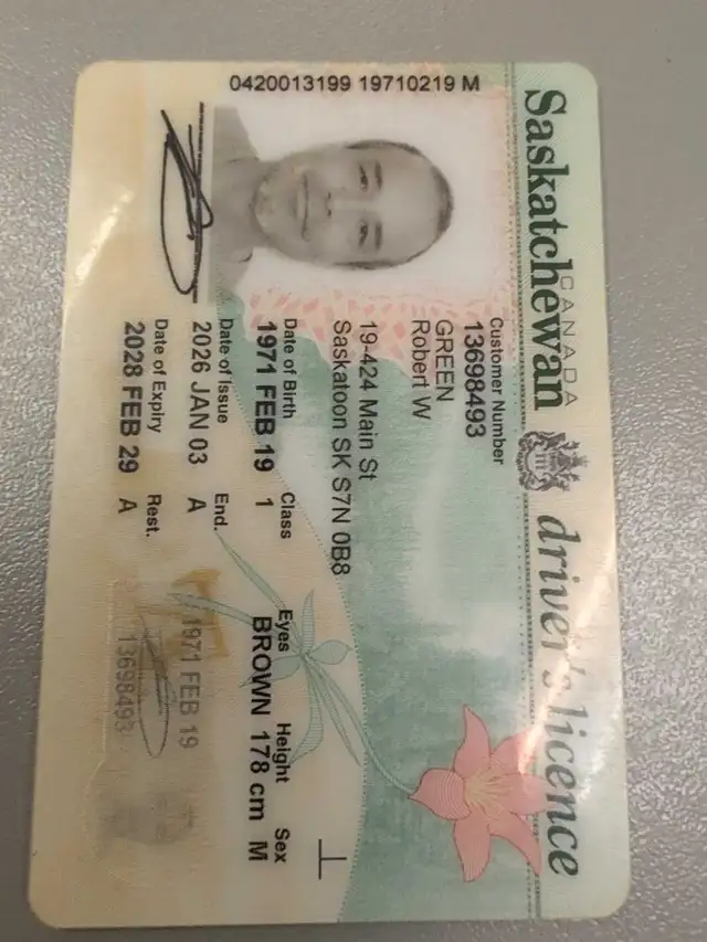 Professional Driver looking for potential employment