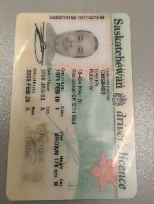 Professional Driver looking for potential employment