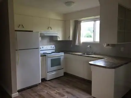 3 Bedroom Basement unit near Bonnie Doon - Photo 2