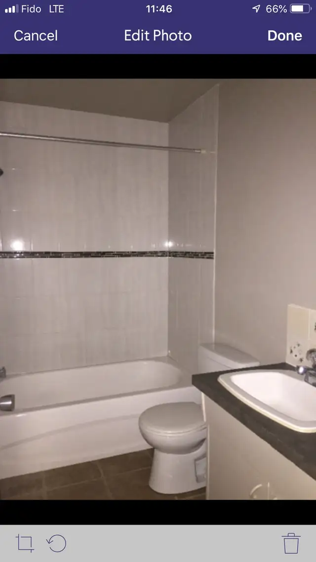 3 Bedroom Basement unit near Bonnie Doon - Photo 5