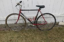 Trek Composite road bike medium