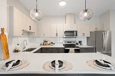 2 bedroom apartments available now in Lucan, ON! - Photo 7