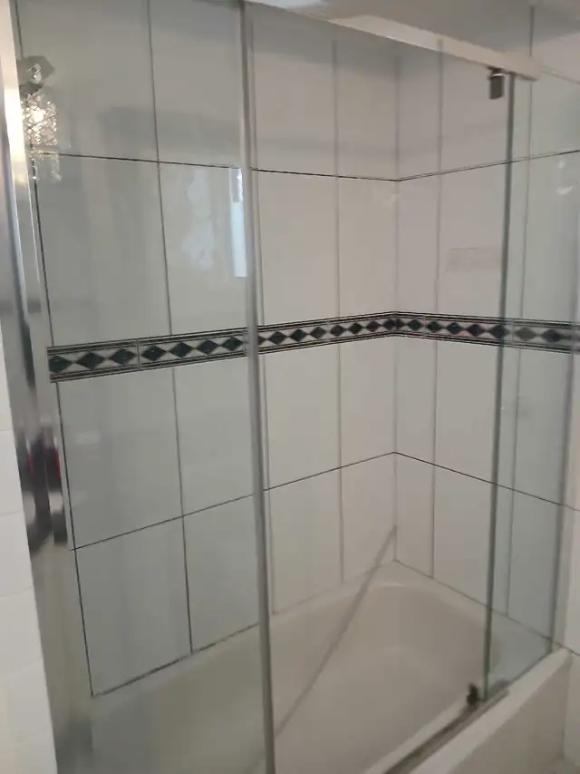 Glass shower doors