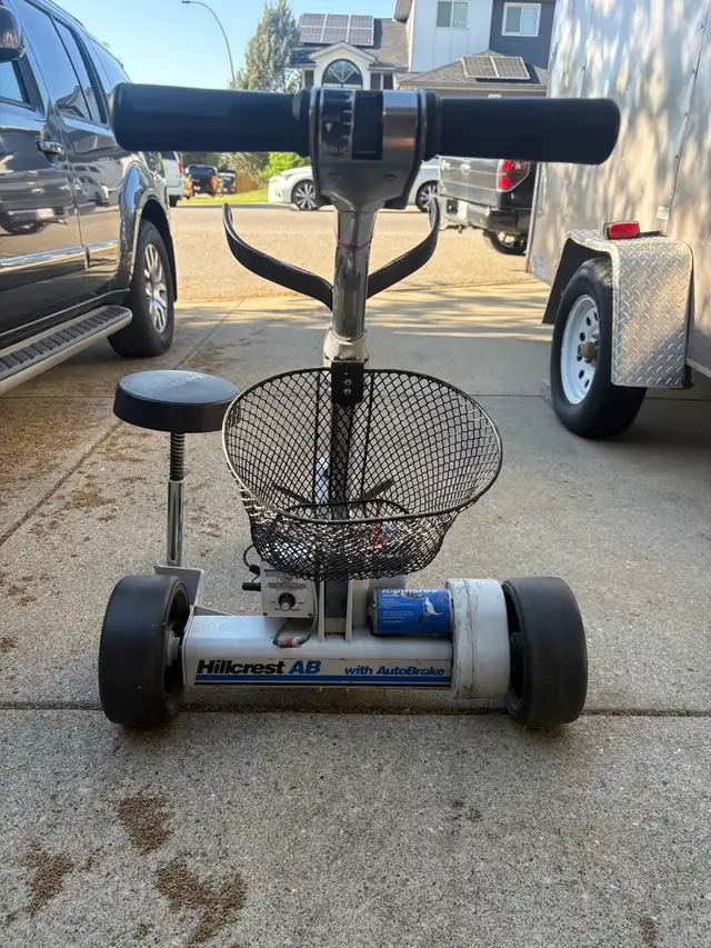 Electric Golf Cart - Photo 2