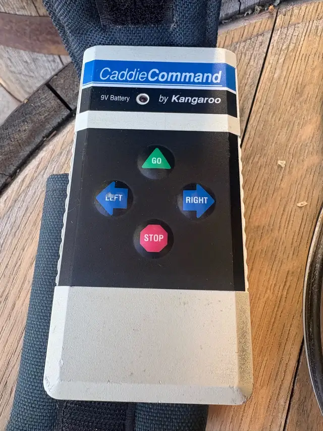 Electric Golf Cart - Photo 7