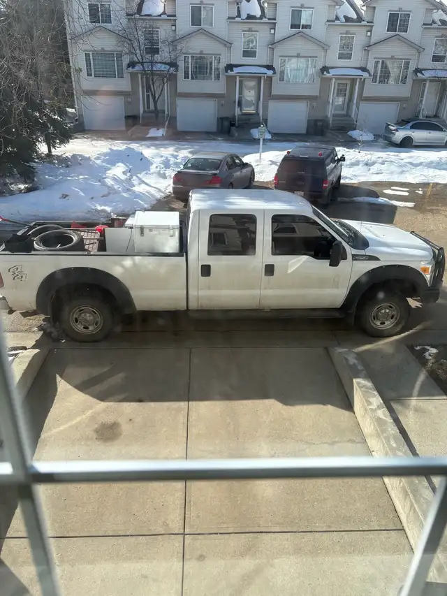 junk removal/cleaning services