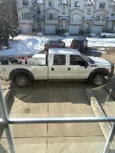 junk removal/cleaning services