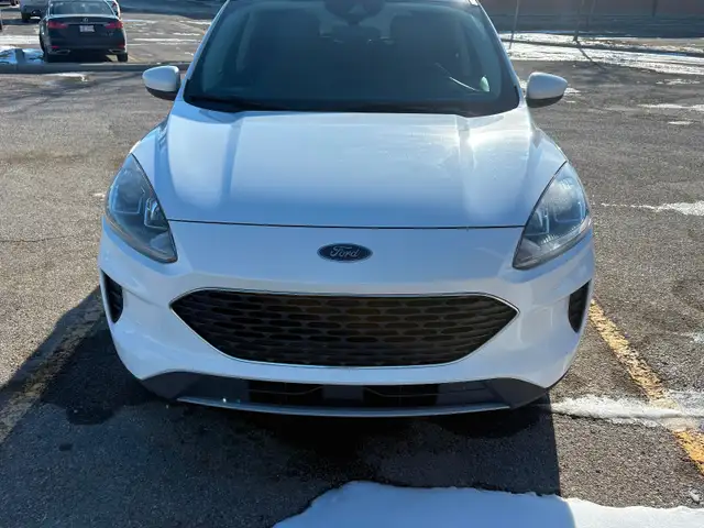 2020 Ford Escape - Photo 6