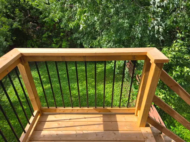 STUDENTS! Room in 3-bedroom unit on MEADOWLANDS DR. - Water incl - Photo 7