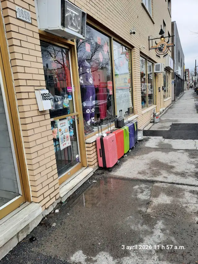 local commercial a louer 1er juin - Photo 4