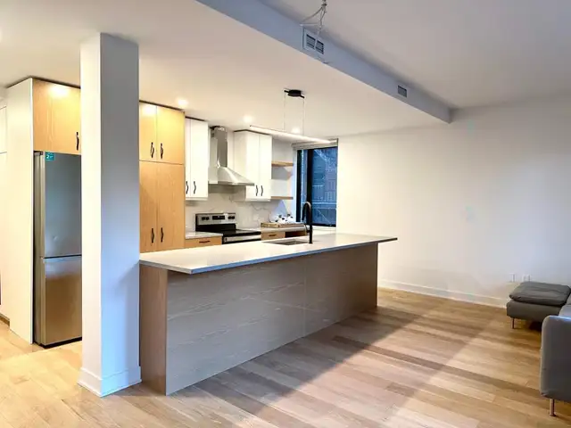 5 1/2 entièrement rénové à louer rue Edouard-Montpetit Montréal - Photo 2