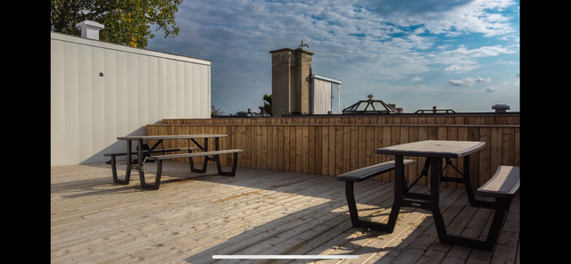 5 1/2 entièrement rénové à louer rue Edouard-Montpetit Montréal - Photo 13