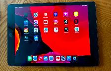 Apple iPad 7th Gen Pristine and CHEAP!