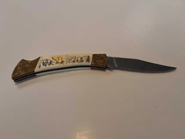 Eagle Outdoor Pocket folding knife