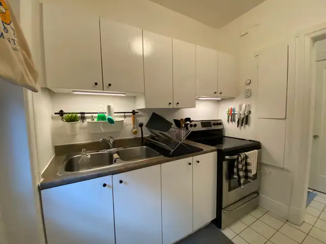 Outremont/Mile End - 2 chambres - 1 995 $/mois - Électros inclus - Photo 12