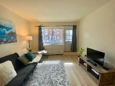 Outremont - 1 chambre - 1 750 $/mois - Électros inclus