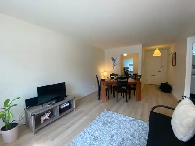 Outremont - 1 chambre - 1 750 $/mois - Électros inclus - Photo 3