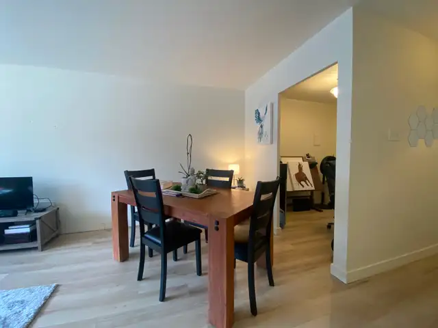 Outremont - 1 chambre - 1 750 $/mois - Électros inclus - Photo 5