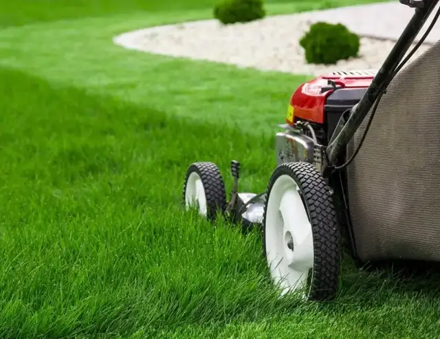 Affordable lawn mowing services starting at just $40