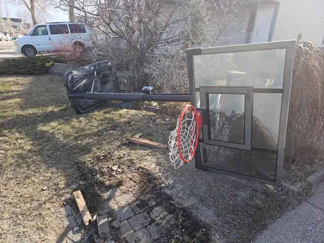 Lifetime - Portable Adjustable Basketball Backboard, Hoop & - Photo 2