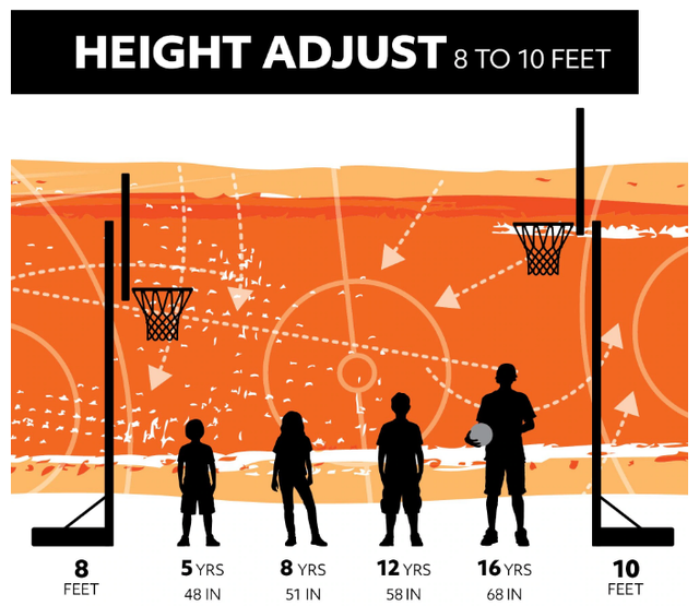 Lifetime - Portable Adjustable Basketball Backboard, Hoop & - Photo 7