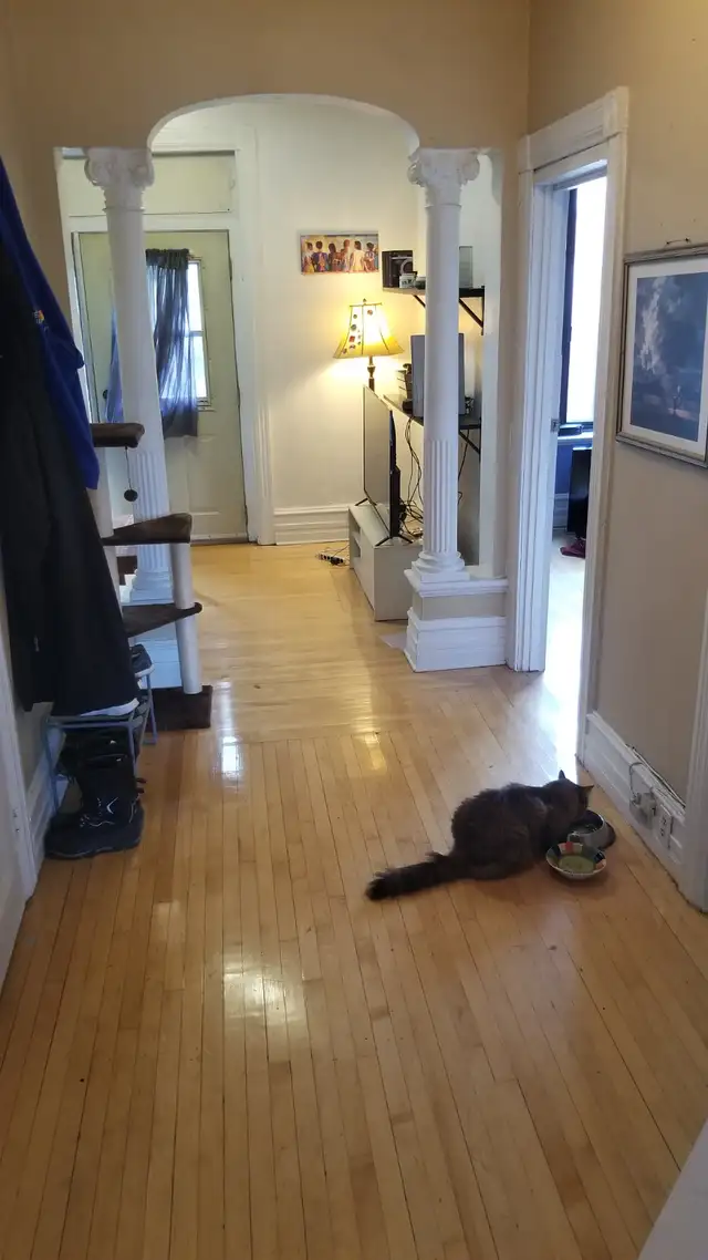 5 1/2 - Hochelaga - 1090$/mois