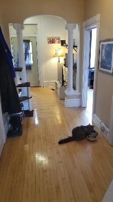 5 1/2 - Hochelaga - 1090$/mois