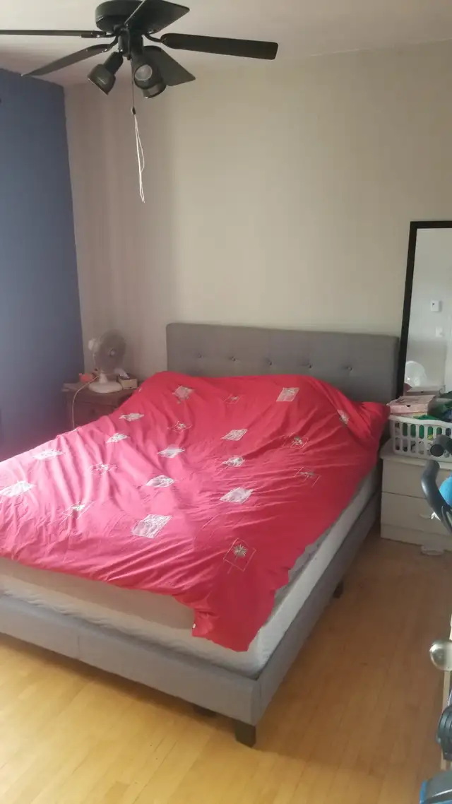 5 1/2 - Hochelaga - 1090$/mois - Photo 3