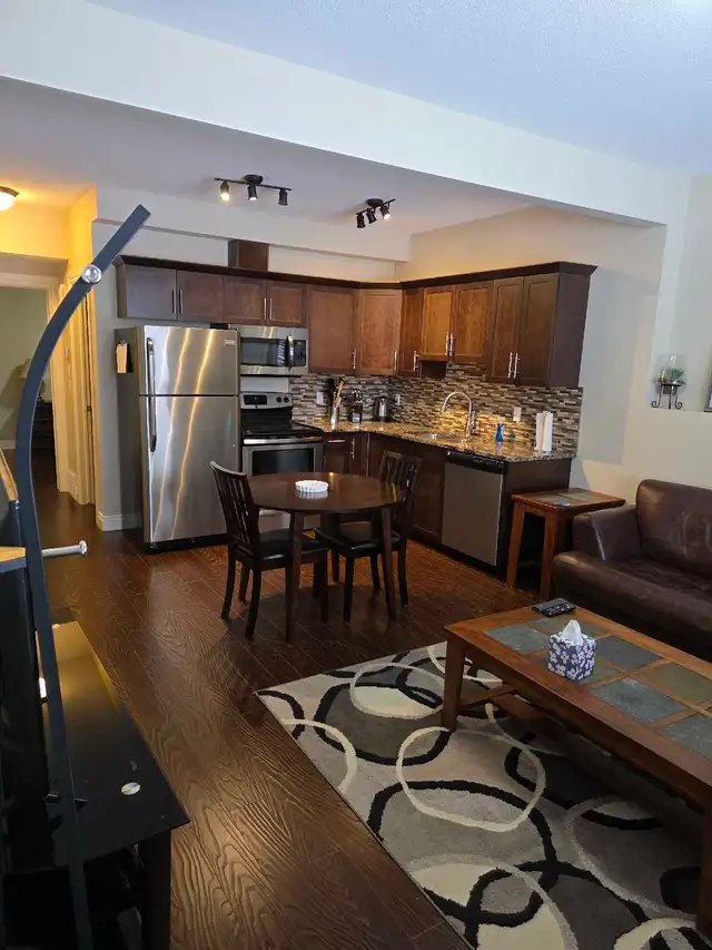 Quiet, Clean One bedroom Walk out Basement Suite - Photo 3