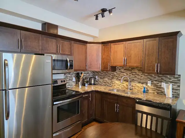 Quiet, Clean One bedroom Walk out Basement Suite - Photo 4