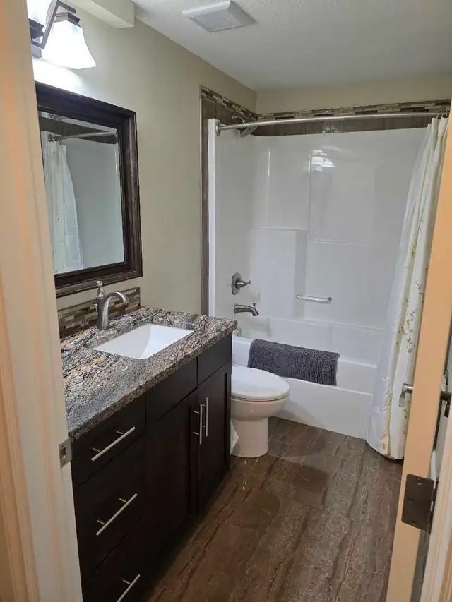 Quiet, Clean One bedroom Walk out Basement Suite - Photo 7